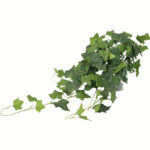 Iedera artificiala GX verde 70cm