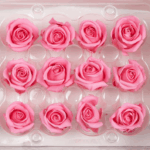 Miniroze criogenate set x12 BABY PINK