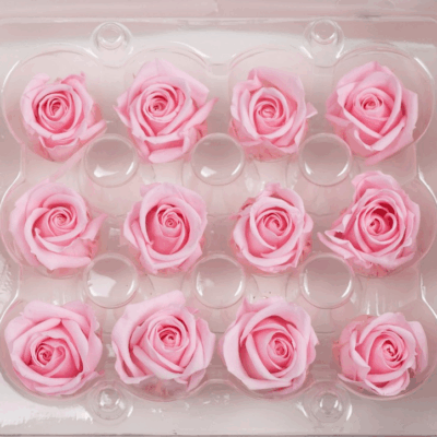 Miniroze criogenate set x12 BRIDAL PINK