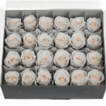 Miniroze criogenate set x24 IVORY