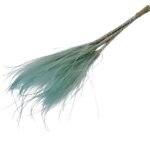 Stipa pennata PALE BLUE 60cm 40g