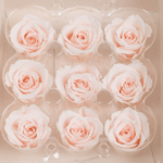 Trandafir criogenat M set x9 Pink Blush