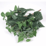 Fittonia artificiala tufa verde 46cm