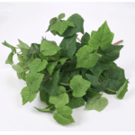 Vita de Vie artificiala tufa verde 46cm