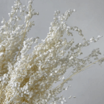 Briza Salino premium alb set