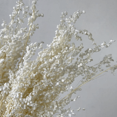 Briza Salino premium alb set