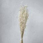 Briza Salino premium alb set - imagine 2