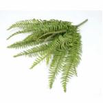 Feriga artificiala verde deschis 50cm