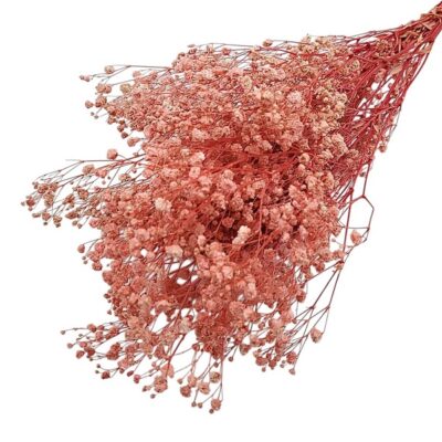 Floarea miresei stabilizata Candy Pink set 40g