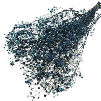 Floarea miresei stabilizata Dark Blue mix set 40g