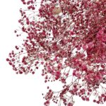 Floarea miresei stabilizata Dark Magenta set 40g