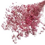 Floarea miresei stabilizata Dark Magenta set 40g