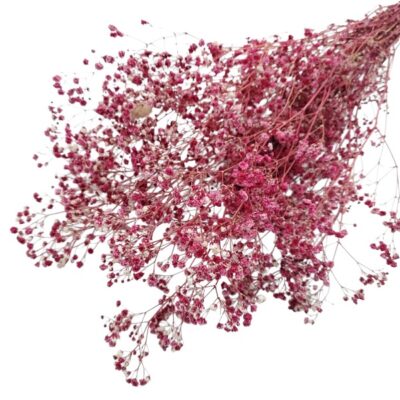 Floarea miresei stabilizata Dark Magenta set 40g