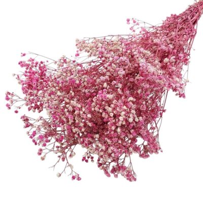 Floarea miresei stabilizata Hot Pink set 40g