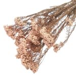 Floare de Orez Ozothamnus Roz pal set 70cm