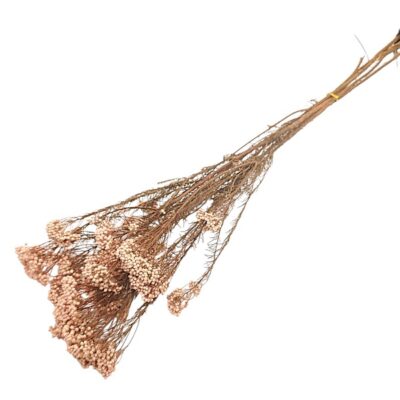 Flori de Orez stabilizate Roz pal set 70cm