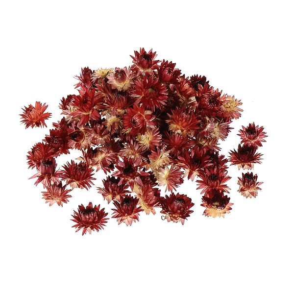 Flori de paie Helichrysum rosu natur set 100g Flori de paie Helichrysum rosu natur set 100g