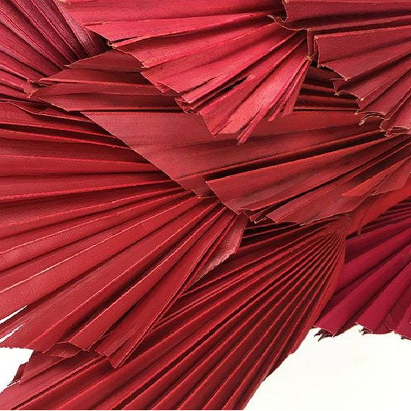 Frunze Palmier Mediu Rosu x10 Frunze Palmier Mediu Rosu x10