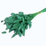 Lagurus turquoise set 70cm