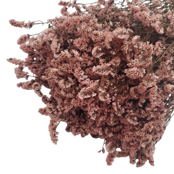 Limonium Sinensis stabilizat Roz Vintage set 70cm Limonium Sinensis stabilizat Roz Vintage set 70cm