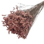 Limonium Sinensis stabilizat Roz Vintage set 70cm