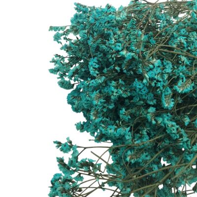 Limonium Sinensis stabilizat Turcoaz set 70cm