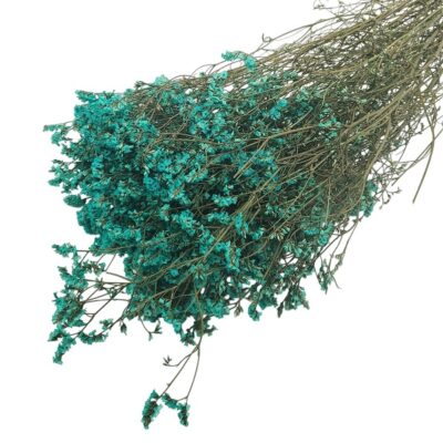 Limonium Sinensis stabilizat Turcoaz set 70cm