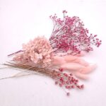 Set flori conservate si uscate Mini PINK Pack