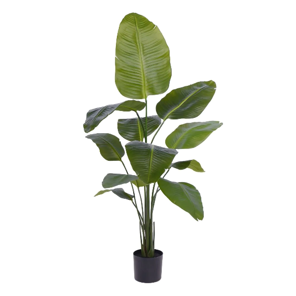 Strelitzia Nicolai ST artificiala verde 150cm