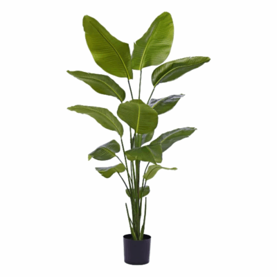 Strelitzia Nicolai ST artificiala verde 170cm