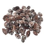 Conuri Pin natur mini albite set 150g