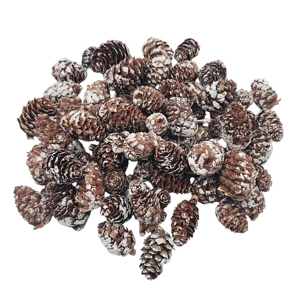 Conuri Pin natur mini albite set 150g Conuri Pin natur mini albite set 150g