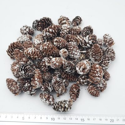 Conuri Pin natur mini albite set 150g - imagine 2