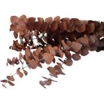 Eucalipt prep. Spirala Oranj set