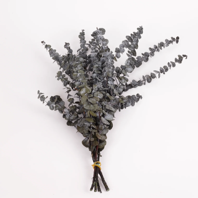 Eucalipt stabilizat Baby Gri set HQ