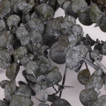 Eucalipt stabilizat Baby Gri set HQ