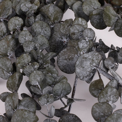 Eucalipt stabilizat Baby Gri set HQ