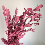 Eucalipt stabilizat Stuartiana Roz set HQ