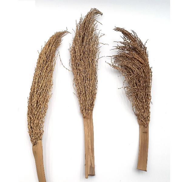 Crengi uscate Palmier natur set x3 Crengi uscate Palmier natur set x3
