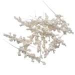 Pick Ilex bobite albe set x13