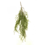 Asparagus artificial curgator cu inel verde 85cm