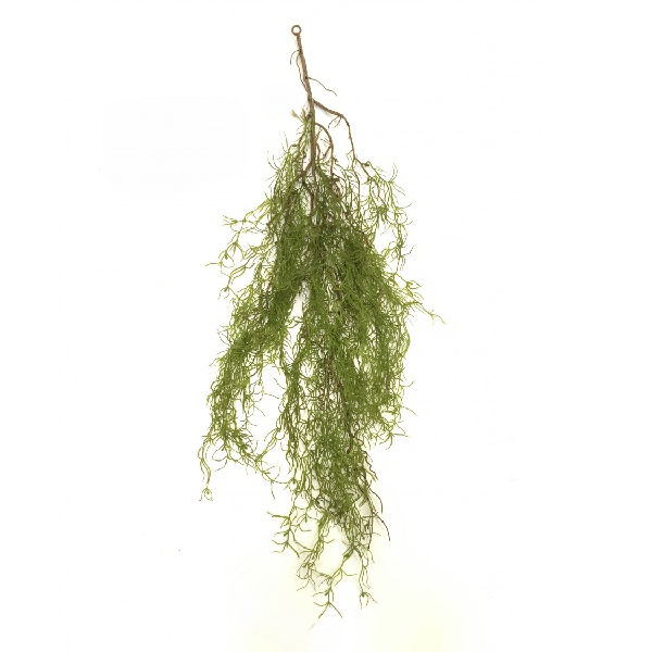 Asparagus artificial curgator cu inel verde 85cm Asparagus artificial curgator cu inel verde 85cm