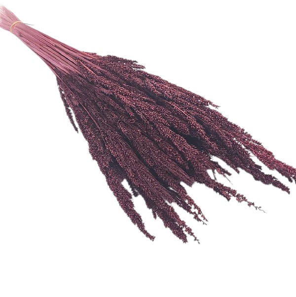 Grau uscat Trigo Bordo Merlot set 50g Grau uscat Trigo Bordo Merlot set 50g