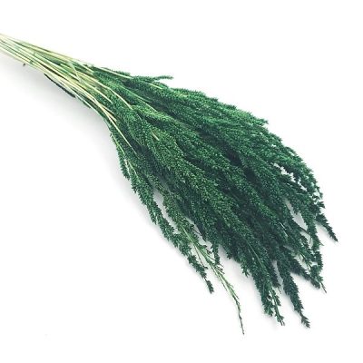 Grau uscat Trigo Verde set 50g