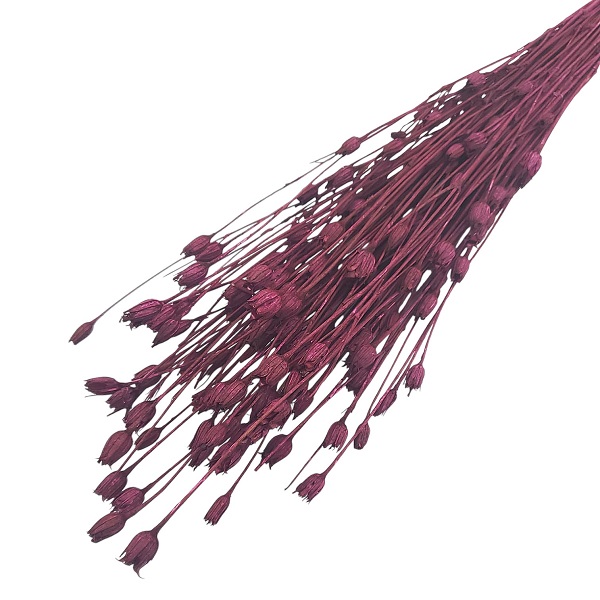 Nigella mini Bordo Merlot set Nigella mini Bordo Merlot set