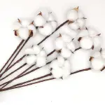 Buchet Flori de Bumbac Albe set x10