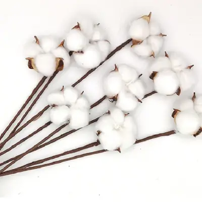 Buchet Flori de Bumbac Albe set x10