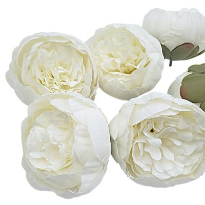 Capete flori artificiale Bujor D8cm ivory set x6