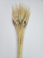 Grau barbos Premium blond natur set 200g