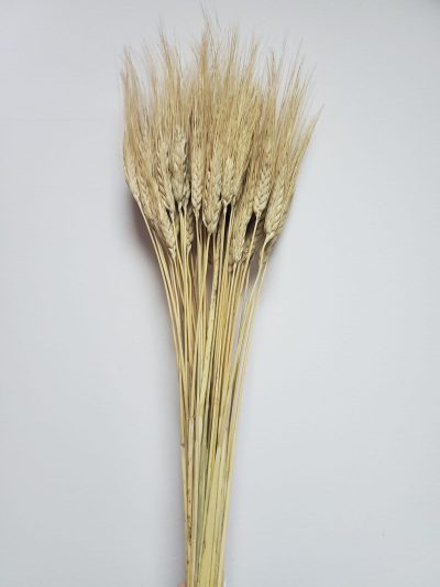 Grau barbos Premium blond natur set 200g